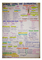 Neural control and coordination class 11th chapter 11.pdf